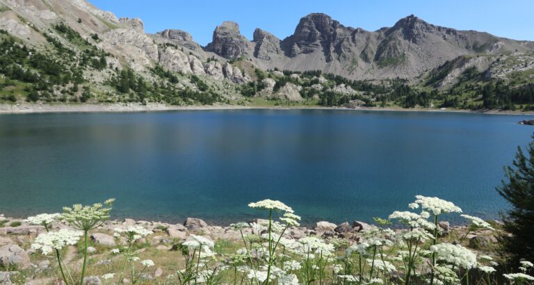 Doldenblütler mit See