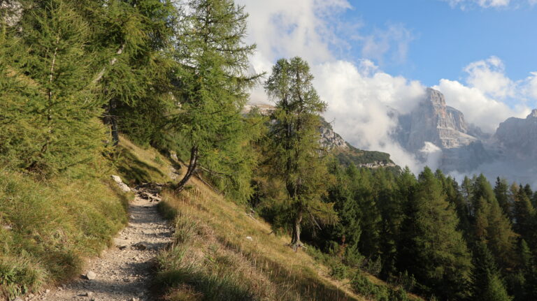 Ein letzter Blick zurück bevor wir im Lärchenwald verschwinden.