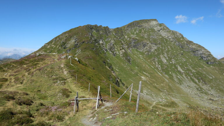 Auf dem Leitenkogel