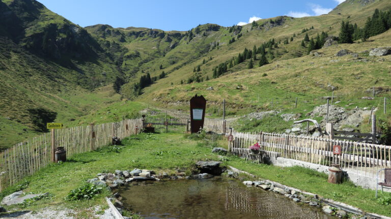 Gartenteich der Bürglhütte