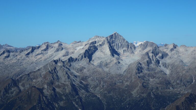 Presanella herangezoomt