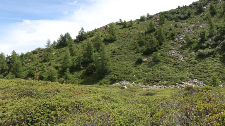 Der Steinmann auf dem Felsblock markiert den Abzweig zum Cima Verda Nordgrat.